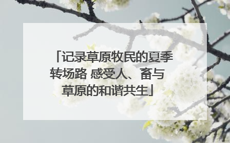 记录草原牧民的夏季转场路 感受人、畜与草原的和谐共生