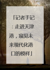 记者手记：走进天津港，窥见未来现代化港口的模样