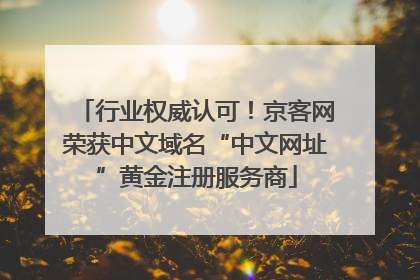 行业权威认可！京客网荣获中文域名“中文网址”黄金注册服务商