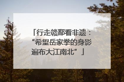 行走赣鄱看非遗：“希望岳家拳的身影遍布大江南北”