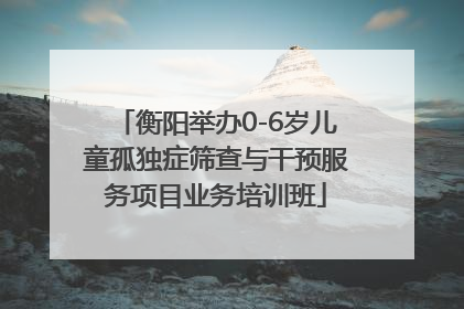 衡阳举办0-6岁儿童孤独症筛查与干预服务项目业务培训班