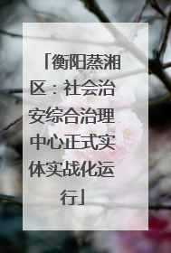 衡阳蒸湘区：社会治安综合治理中心正式实体实战化运行
