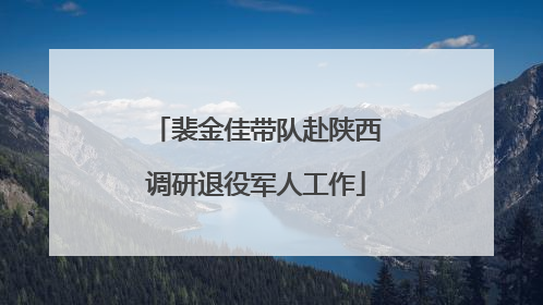 裴金佳带队赴陕西调研退役军人工作