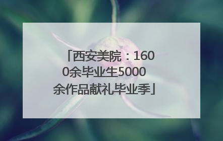 西安美院：1600余毕业生5000余作品献礼毕业季