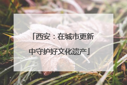 西安：在城市更新中守护好文化遗产