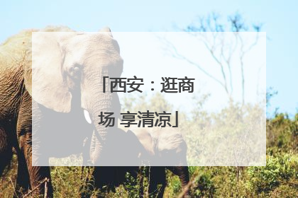 西安：逛商场 享清凉