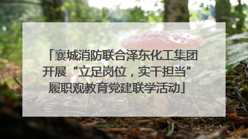 襄城消防联合泽东化工集团开展“立足岗位，实干担当”履职观教育党建联学活动