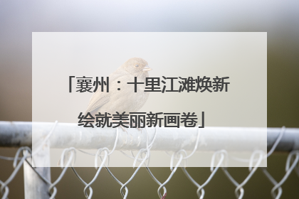 襄州：十里江滩焕新 绘就美丽新画卷