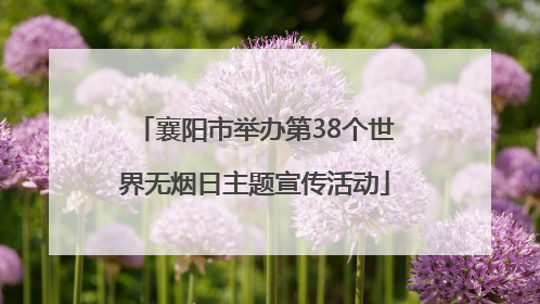 襄阳市举办第38个世界无烟日主题宣传活动