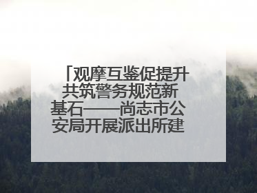 观摩互鉴促提升 共筑警务规范新基石——尚志市公安局开展派出所建设拉动观摩活动