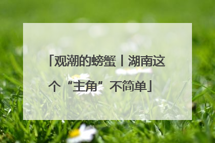 观潮的螃蟹丨湖南这个“主角”不简单