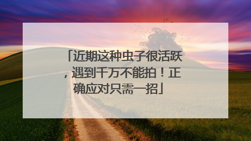 近期这种虫子很活跃，遇到千万不能拍！正确应对只需一招