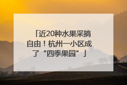 近20种水果采摘自由！杭州一小区成了“四季果园”