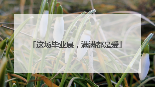 这场毕业展，满满都是爱