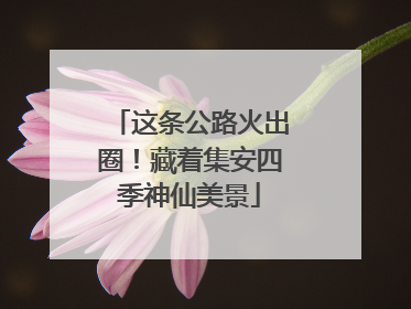 这条公路火出圈！藏着集安四季神仙美景