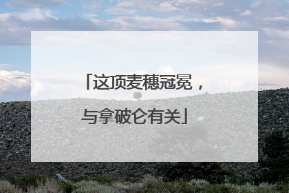 这顶麦穗冠冕，与拿破仑有关