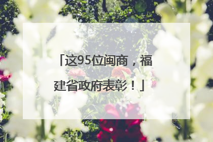 这95位闽商，福建省政府表彰！