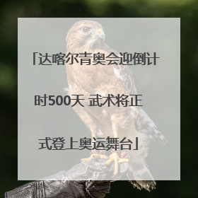 达喀尔青奥会迎倒计时500天 武术将正式登上奥运舞台