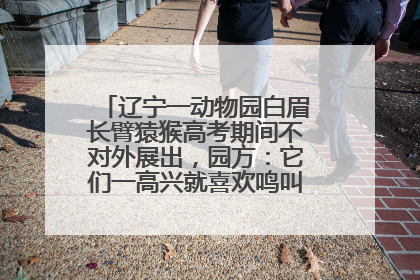 辽宁一动物园白眉长臂猿猴高考期间不对外展出，园方：它们一高兴就喜欢鸣叫，怕影响考试