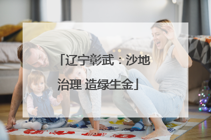 辽宁彰武：沙地治理 造绿生金