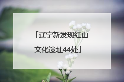 辽宁新发现红山文化遗址44处