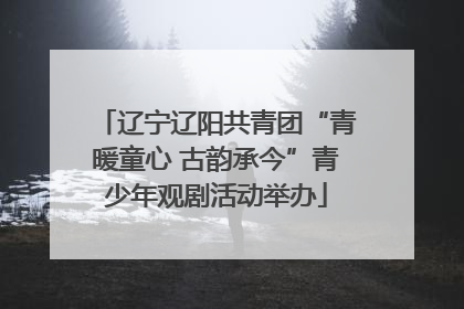辽宁辽阳共青团“青暖童心 古韵承今”青少年观剧活动举办