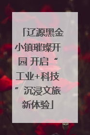 辽源黑金小镇璀璨开园 开启“工业+科技”沉浸文旅新体验