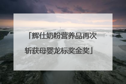 辉仕奶粉营养品再次斩获母婴龙标奖金奖