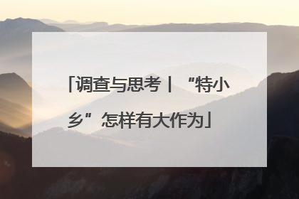 调查与思考丨“特小乡”怎样有大作为