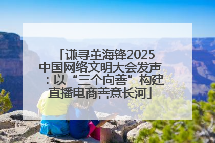 谦寻董海锋2025中国网络文明大会发声：以“三个向善”构建直播电商善意长河