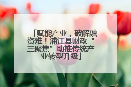 赋能产业，破解融资难！浦江县财政“三聚焦”助推传统产业转型升级