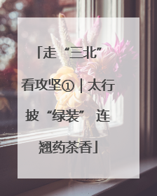 走“三北” 看攻坚①｜太行披“绿装” 连翘药茶香