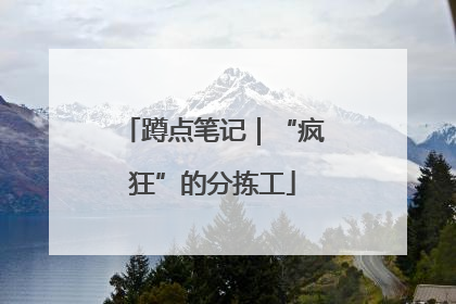 蹲点笔记｜“疯狂”的分拣工