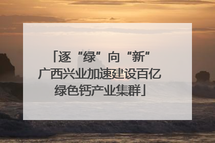 逐“绿”向“新” 广西兴业加速建设百亿绿色钙产业集群