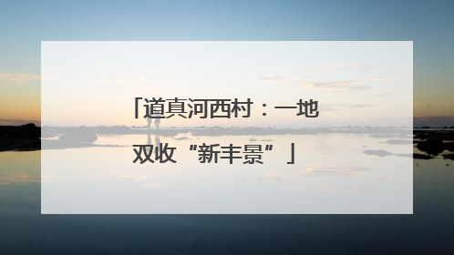 道真河西村：一地双收“新丰景”