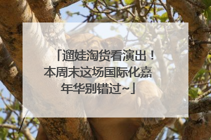 遛娃淘货看演出！本周末这场国际化嘉年华别错过~