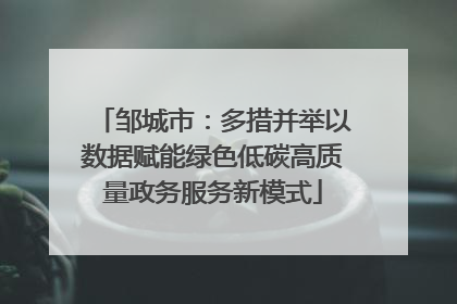 邹城市：多措并举以数据赋能绿色低碳高质量政务服务新模式