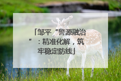 邹平“警源融治”：精准化解，筑牢稳定防线