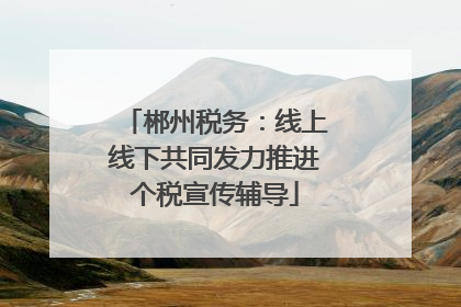 郴州税务：线上线下共同发力推进个税宣传辅导