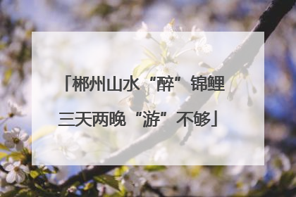 郴州山水“醉”锦鲤 三天两晚“游”不够