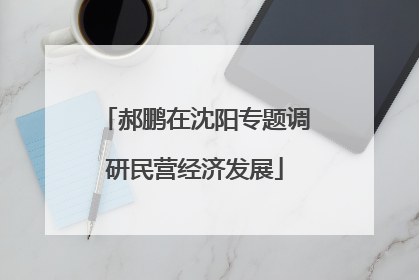 郝鹏在沈阳专题调研民营经济发展