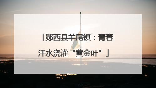 郧西县羊尾镇：青春汗水浇灌“黄金叶”
