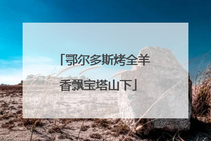 鄂尔多斯烤全羊香飘宝塔山下