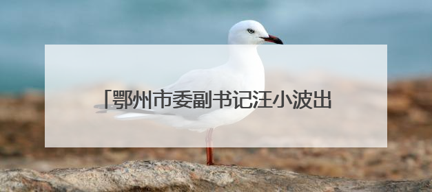 鄂州市委副书记汪小波出任湖北大数据集团董事长