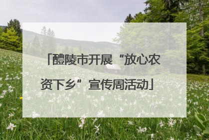 醴陵市开展“放心农资下乡”宣传周活动