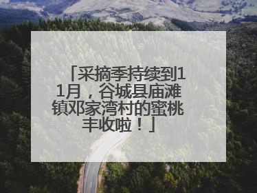 采摘季持续到11月，谷城县庙滩镇邓家湾村的蜜桃丰收啦！