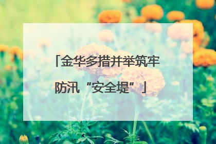 金华多措并举筑牢防汛“安全堤”
