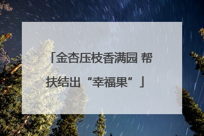 金杏压枝香满园 帮扶结出“幸福果”