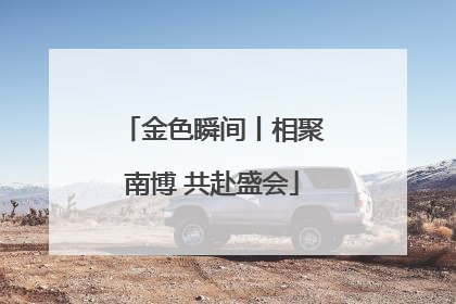 金色瞬间丨相聚南博 共赴盛会