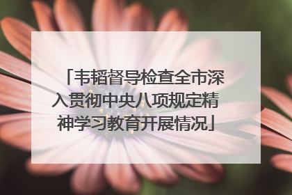 韦韬督导检查全市深入贯彻中央八项规定精神学习教育开展情况